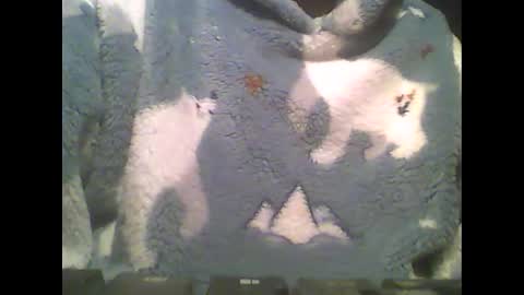 LittlePaul online show from February 14, 2025, 9:10 pm