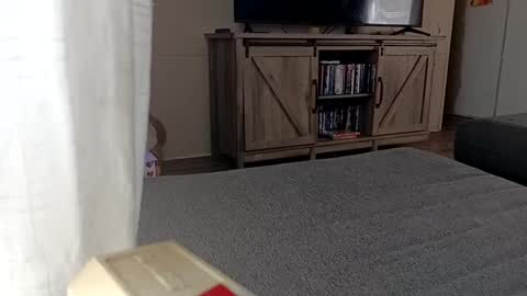 Snapshot of ljandcherry chatting on September 11, 2025, 5:02 pm LjCherry online show from September 11, 2025, 5:02 pm