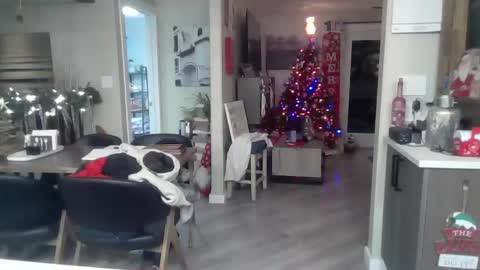 Snapshot of logan_rex_3 chatting on January 7, 2026, 7:11 am logan_rex_3 online show from January 7, 2026, 7:11 am