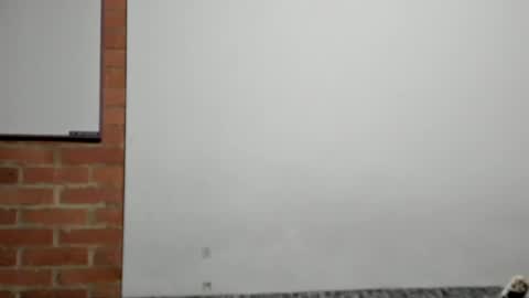 Snapshot of logannick chatting on April 9, 2026, 3:06 am Logan online show from April 9, 2026, 3:06 am