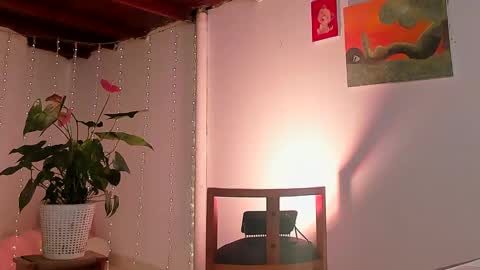 mara online show from January 31, 2025, 2:04 am