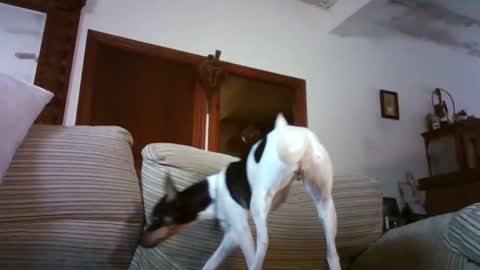 LOLA HUESO y ERIC online show from January 15, 2026, 9:58 am