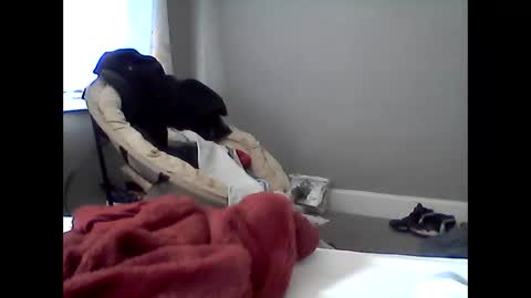 how can i plz u online show from January 13, 2026, 2:22 pm