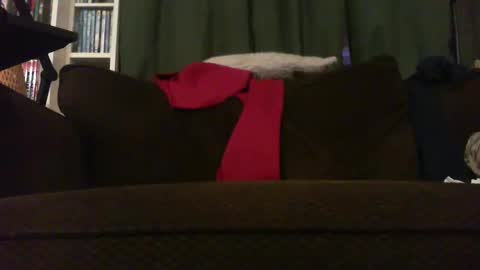 Snapshot of longlorne chatting on November 18, 2025, 4:28 am longlorne online show from November 18, 2025, 4:28 am