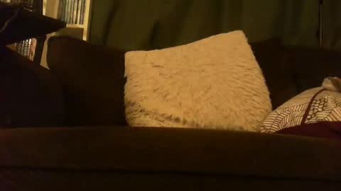 Snapshot of longlorne chatting on February 12, 2026, 5:13 am longlorne online show from February 12, 2026, 5:13 am