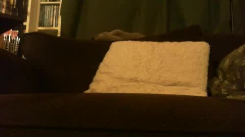 Snapshot of longlorne chatting on February 15, 2026, 4:31 am longlorne online show from February 15, 2026, 4:31 am