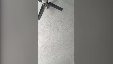 Dominate bbc online show from February 3, 2026, 7:52 pm