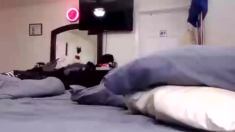 lookatmecum4you online show from September 18, 2025, 11:56 am