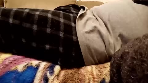 looking4bush online show from December 1, 2024, 10:43 pm