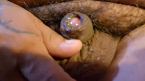 2791 3D online show from March 19, 2026, 12:58 am