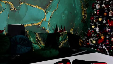 Snapshot of lorawarnner chatting on December 13, 2024, 5:21 pm Miss online show from December 13, 2024, 5:21 pm