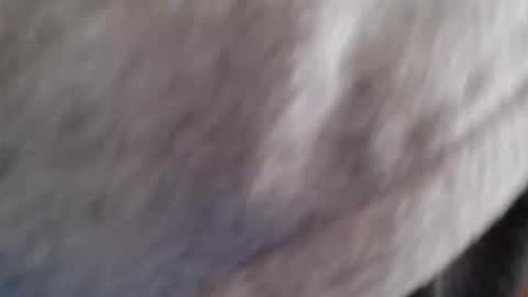 Snapshot of lordhealt chatting on April 30, 2026, 1:17 pm lordhealt online show from April 30, 2026, 1:17 pm