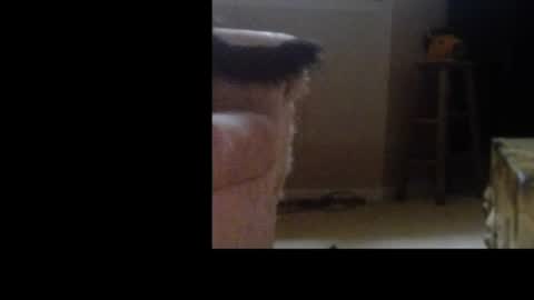 Snapshot of love69bush chatting on February 4, 2026, 6:30 am love69bush online show from February 4, 2026, 6:30 am