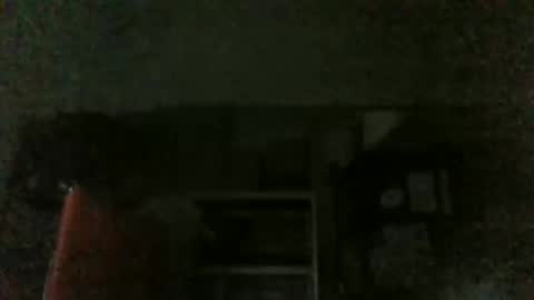 Snapshot of lovelick007 chatting on January 29, 2025, 12:24 pm lovelick007 online show from January 29, 2025, 12:24 pm