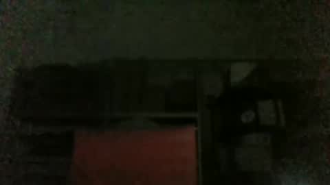 Snapshot of lovelick007 chatting on February 5, 2025, 12:17 pm lovelick007 online show from February 5, 2025, 12:17 pm