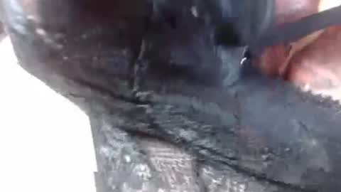 Mature lover2 online show from February 27, 2025, 9:14 pm