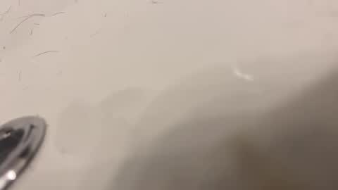 Snapshot of lovetoplayinmnwithu chatting on January 30, 2025, 11:34 pm lovetoplayinmnwithu online show from January 30, 2025, 11:34 pm