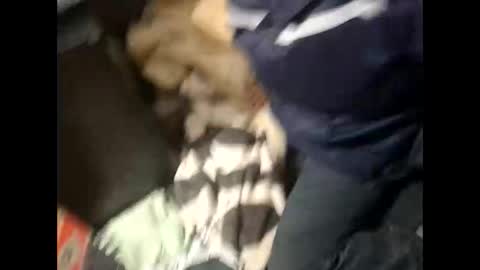 Lshot D online show from November 28, 2025, 8:00 pm