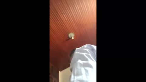 lucas online show from January 16, 2026, 4:55 pm