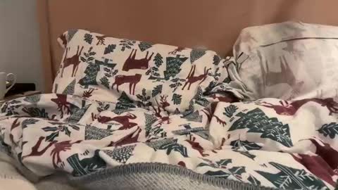 lucca_d123 online show from September 22, 2025, 7:21 am