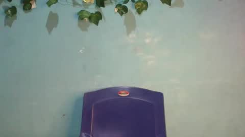 Gloria online show from November 17, 2025, 1:00 am