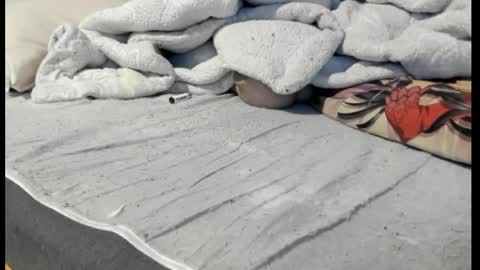 luffykun300 online show from April 6, 2026, 12:52 am