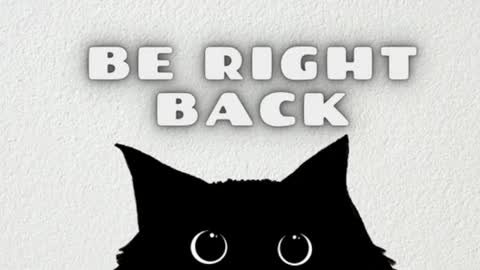 elizabeth online show from March 20, 2026, 12:48 am