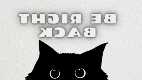 elizabeth online show from May 31, 2026, 12:30 am