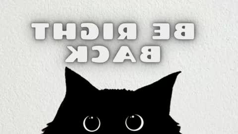elizabeth online show from June 28, 2026, 12:27 am