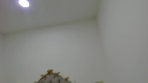 luna forever7 online show from April 14, 2026, 12:22 pm