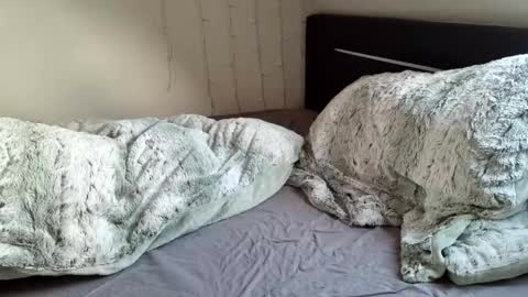 Luna  powered by bitch dust online show from December 20, 2024, 11:10 am