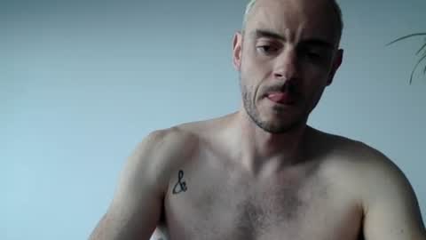 Lupine online show from September 13, 2025, 1:44 pm