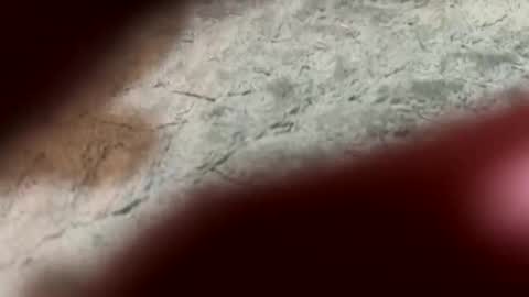 lust_4_daze online show from February 13, 2026, 7:21 pm