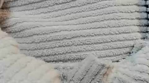 Snapshot of lustgardener67 chatting on December 15, 2024, 4:48 pm lustgardener67 online show from December 15, 2024, 4:48 pm