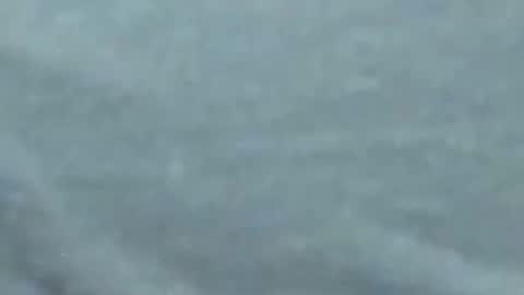 Snapshot of lustgardener67 chatting on January 27, 2025, 10:06 am lustgardener67 online show from January 27, 2025, 10:06 am