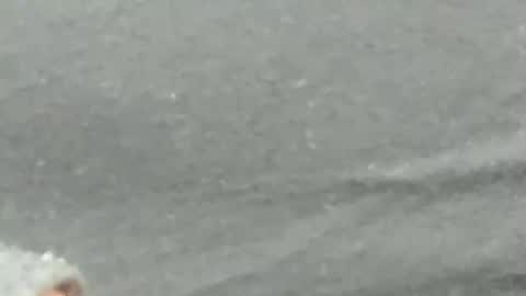 Snapshot of lustgardener67 chatting on February 4, 2025, 9:28 am lustgardener67 online show from February 4, 2025, 9:28 am