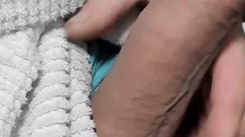 Snapshot of lustgardener67 chatting on February 4, 2025, 5:45 pm lustgardener67 online show from February 4, 2025, 5:45 pm