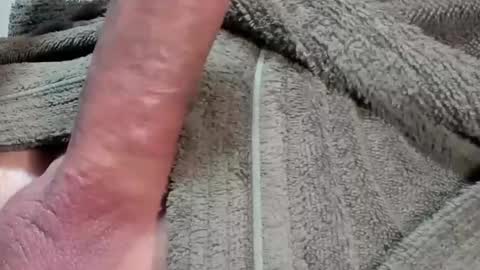 Snapshot of lustgardener67 chatting on February 3, 2026, 7:46 am lustgardener67 online show from February 3, 2026, 7:46 am