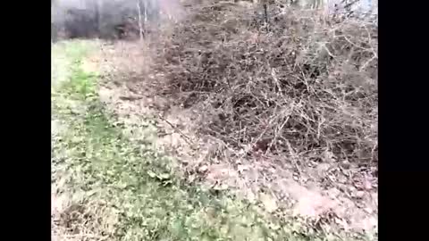 ma747047 online show from April 6, 2026, 11:22 am