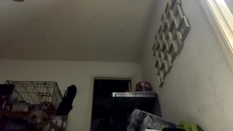 SummerPeach online show from January 11, 2025, 3:23 am