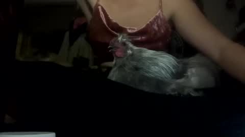 SummerPeach online show from February 5, 2025, 5:30 am