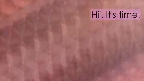 maitte_angel online show from April 2, 2026, 12:03 pm