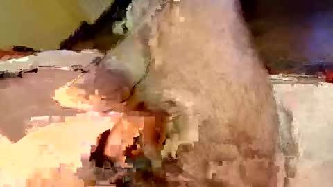 Snapshot of mako998843 chatting on February 15, 2026, 7:32 pm mako998843 online show from February 15, 2026, 7:32 pm