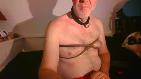 CommandbondageNipples bondage kink submissive lovense slave wgear. modequiethvyBondage If Password goldfish online show from February 16, 2025, 8:21 am