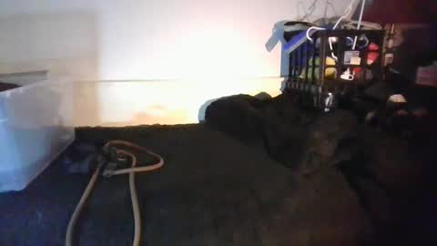 CommandbondageNipples bondage kink submissive lovense slave wgear. modequiethvyBondage If Password goldfish online show from January 18, 2026, 8:18 am