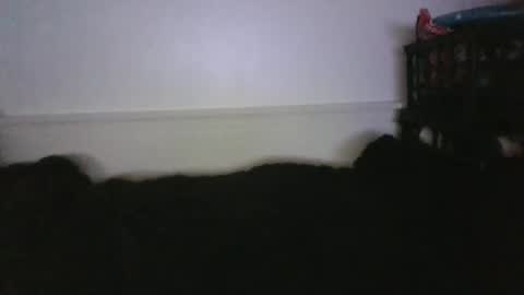 CommandbondageNipples bondage kink submissive lovense slave wgear. modequiethvyBondage If Password goldfish online show from February 26, 2026, 4:00 am