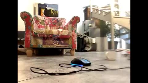 man38110 online show from March 9, 2025, 8:40 am