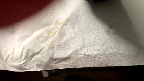 man4you888 online show from February 20, 2025, 3:08 pm