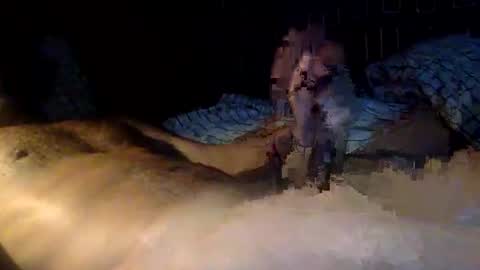 Snapshot of mandalay3 chatting on November 9, 2025, 10:13 am mandalay3 online show from November 9, 2025, 10:13 am