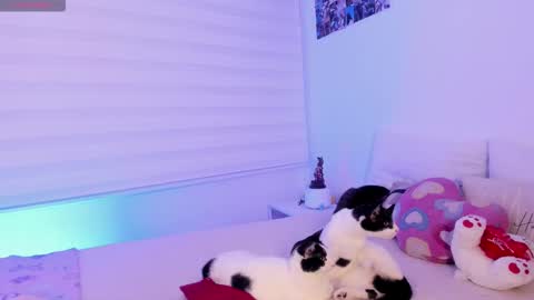 Snapshot of manelyk_10 chatting on February 2, 2026, 10:08 pm online show from February 2, 2026, 10:08 pm